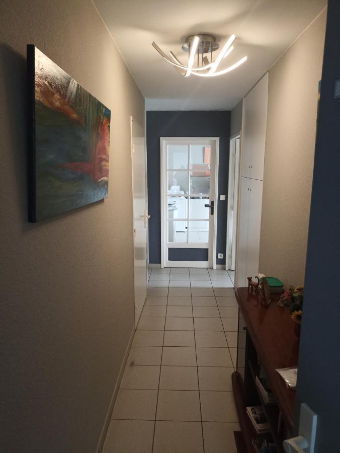 Bayonne Appartement 63M2 Avec Terrase Parking Wifi エクステリア 写真